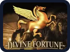 Divine Fortune belgisi