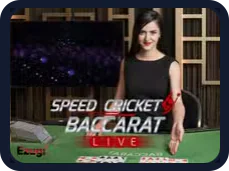 Speed Cricket Baccarat Live belgisi