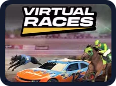 Virtual Races belgisi